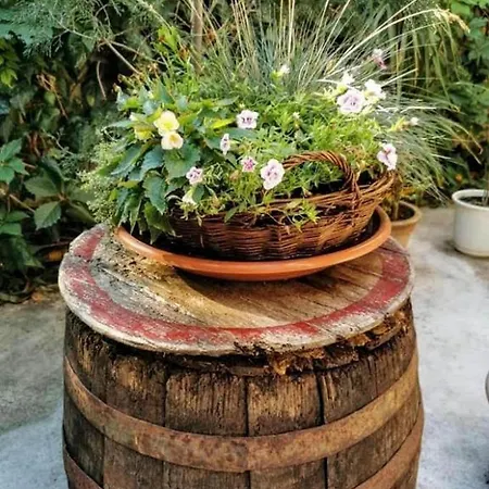 Porto Del Mar Гостевой дом Медулин