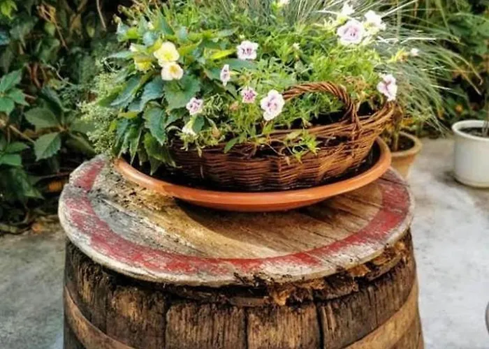 Porto Del Mar בית הארחה מדולין